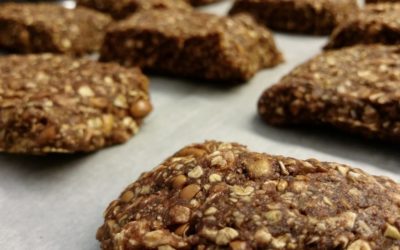 Best of Riegel: Chocolate Chip Clif bars